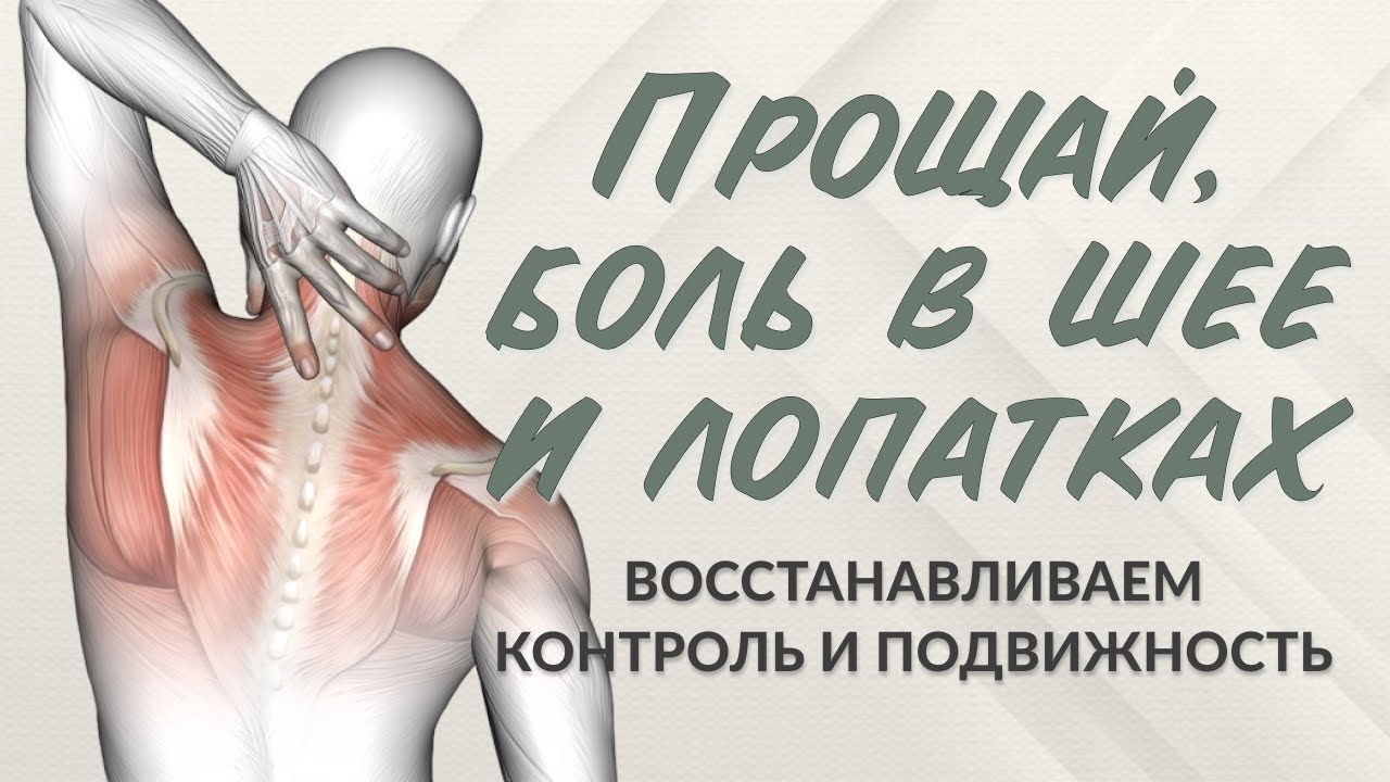 Лопатки, плечи, шея | Осознанная практика для снятия напряжения и осанки