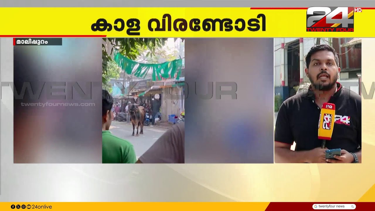 കശാപ്പിനെത്തിച്ച കാള വിരണ്ടോടി; ആക്രമണത്തിൽ ഒരാൾക്ക് പരുക്ക് | Ernakulam