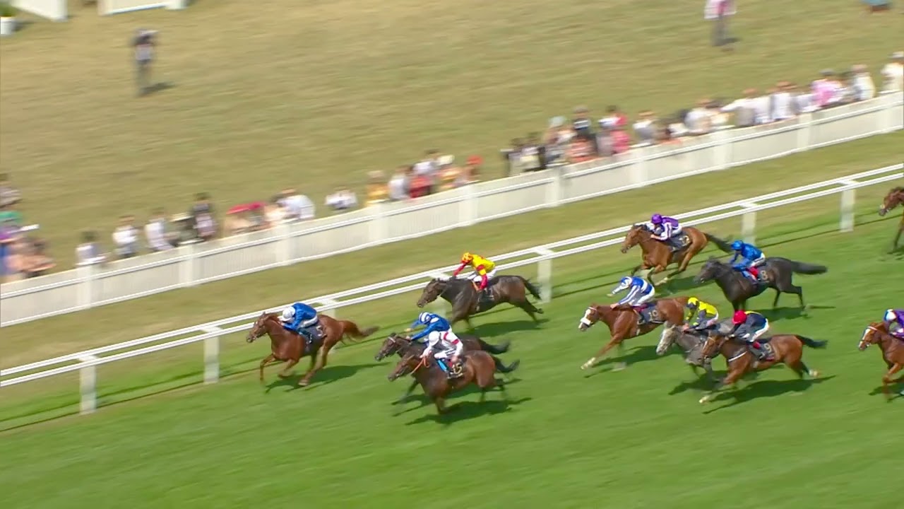 Dubawi's sensational Royal Ascot