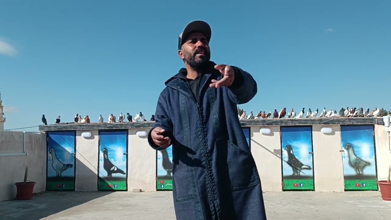 الباشق ضيعلي طير 😱 ضرب الحمام عالرفصه 🤔