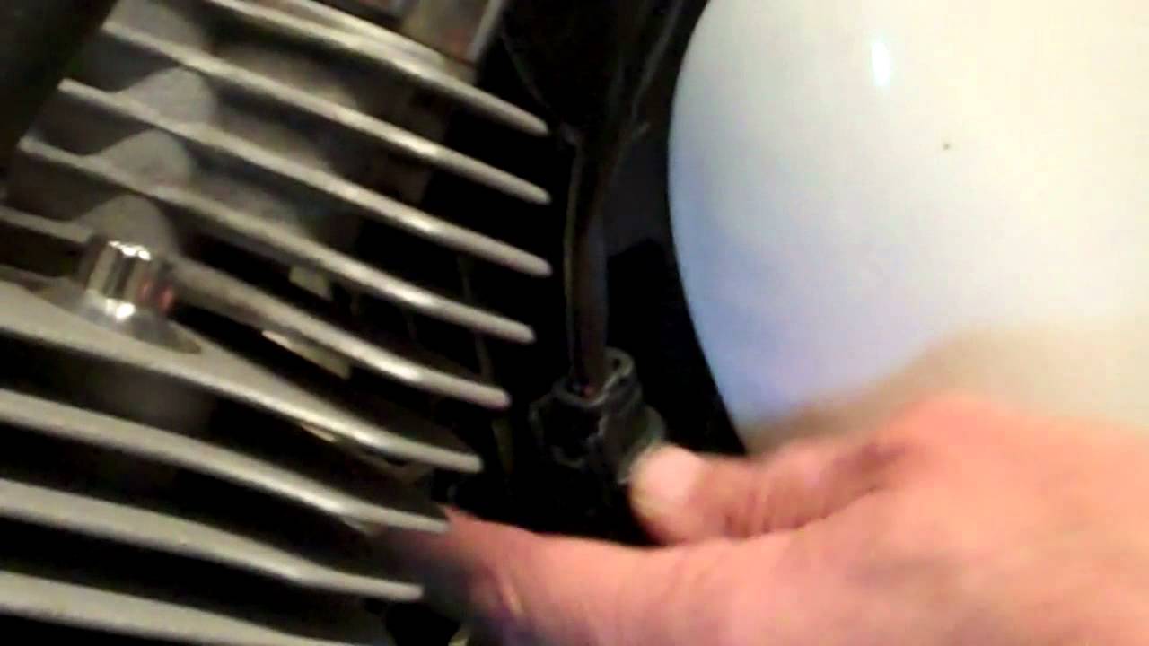 Delboy's Garage, Harley Sportster Tank Removal.