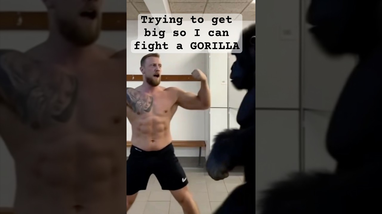My goal: win a 1v1 fight against a gorilla