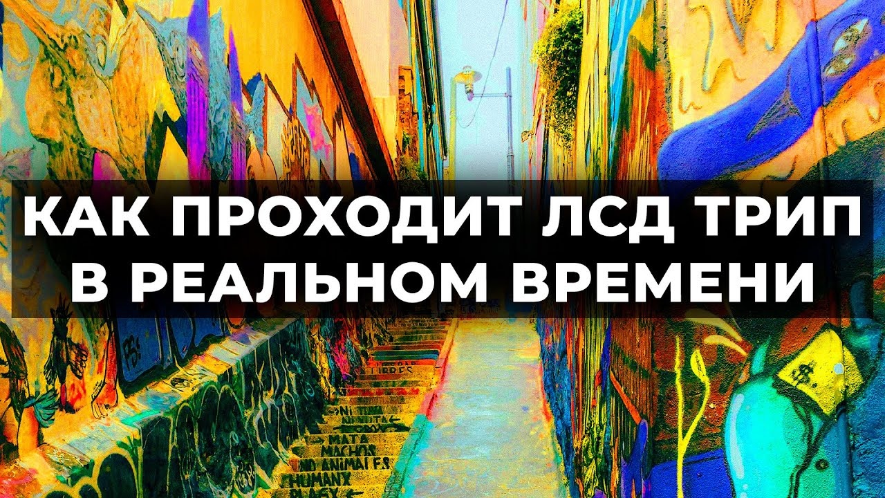 Как Проходит ЛСД Трип В Реальном Времени