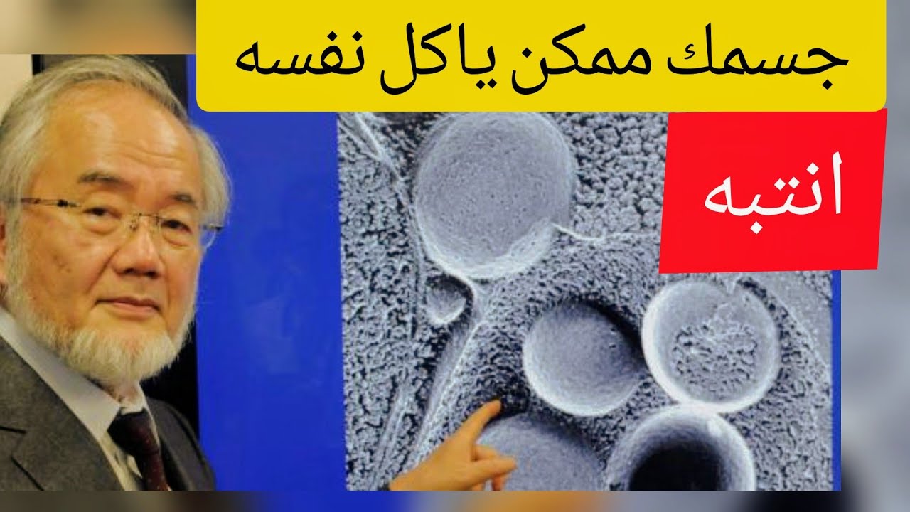 الالتهام الذاتي في الجسم autophagy