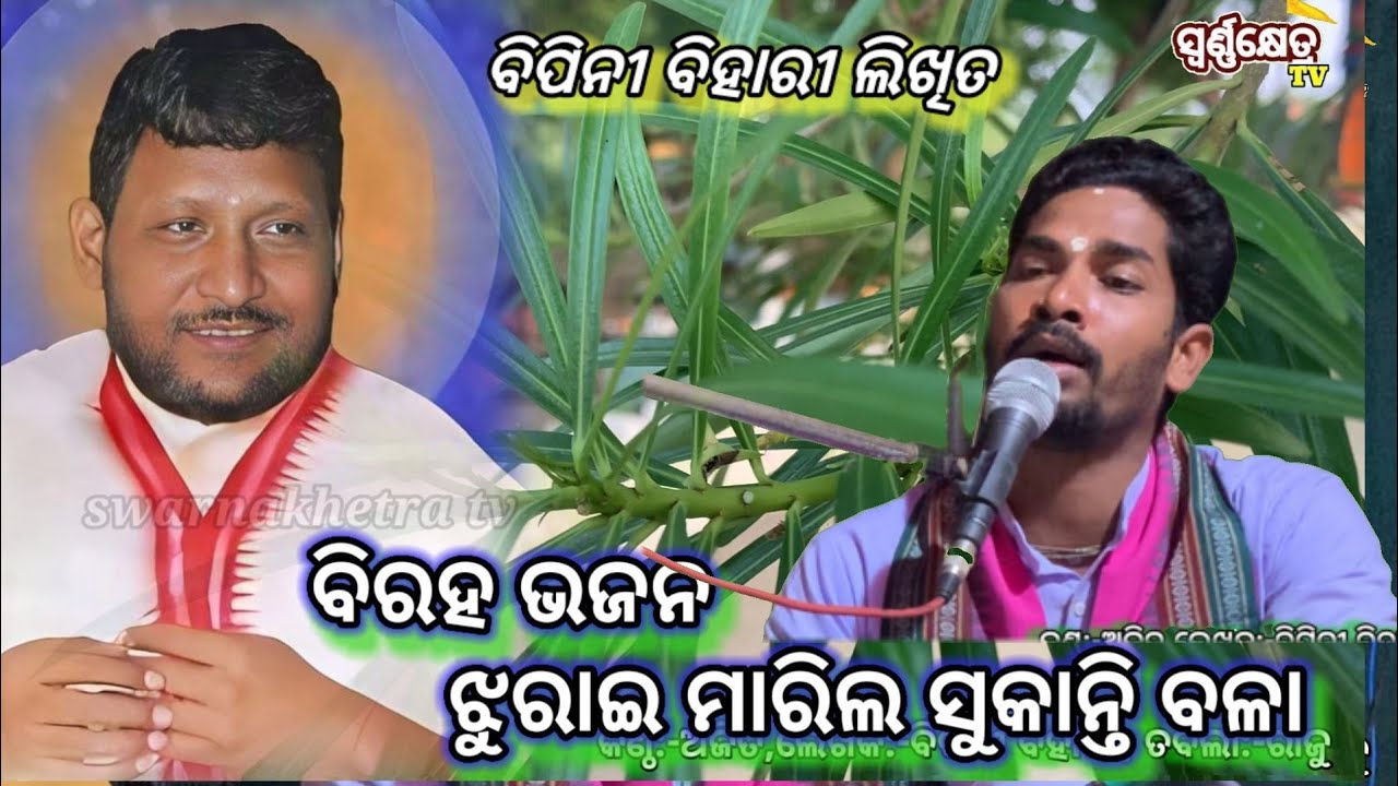 ଝୁରାଇ ମାରିଲ ସୁକାନ୍ତି ବଳା@swarnakhetratv #bipinibiharisamal#singing by ajit#odiabirahabhajan#sad