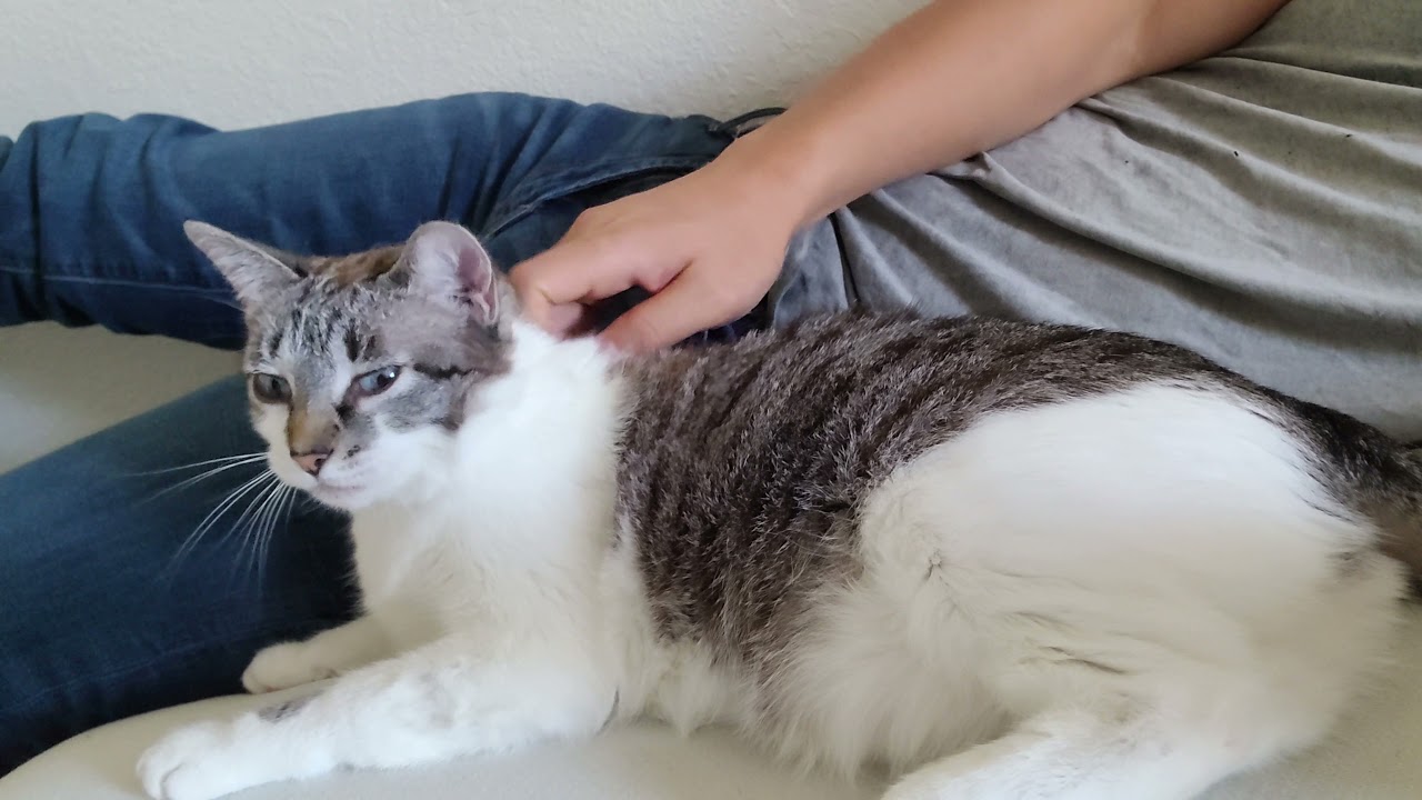 Human heat source