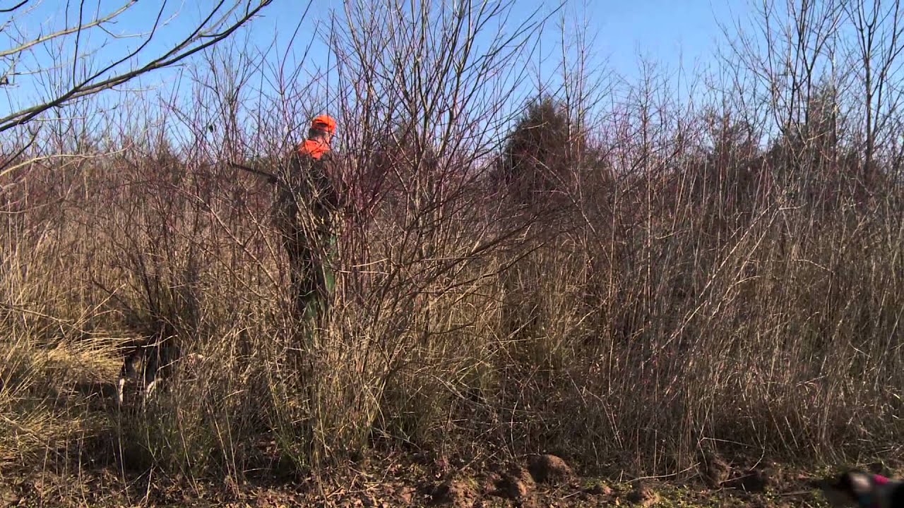 Arkansas River Valley Rabbit Hunt