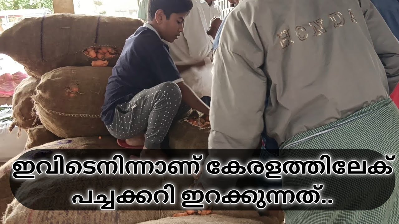 Gundlupet vegetable market | karnataka vegetable farming | whole sale vegetable | travel vlog