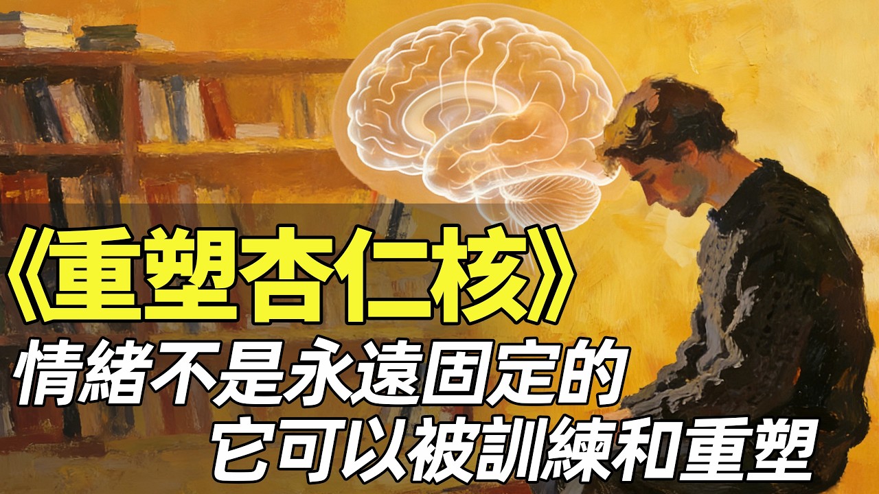 遇事易怒焦慮內耗？《重塑杏仁核》停止內耗！用雙路徑訓練，重塑你的情緒大腦 | 叫我十三就行