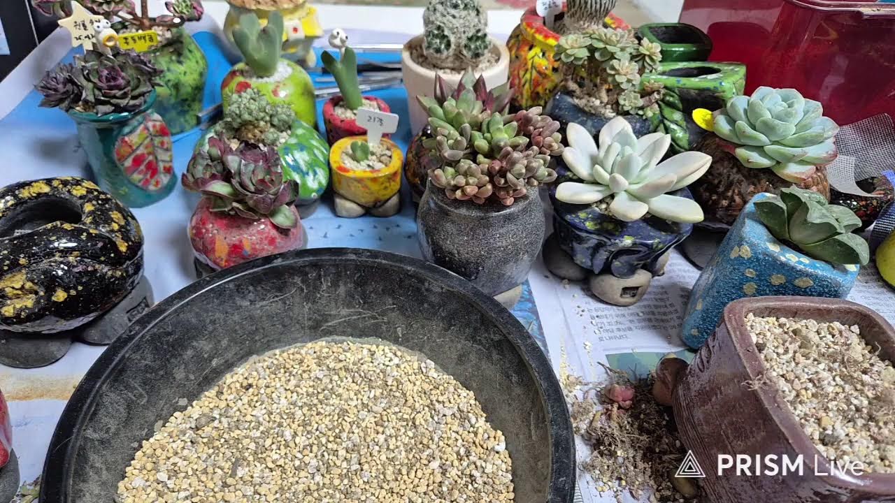 덤앤더머 허당수다 놀러오세요