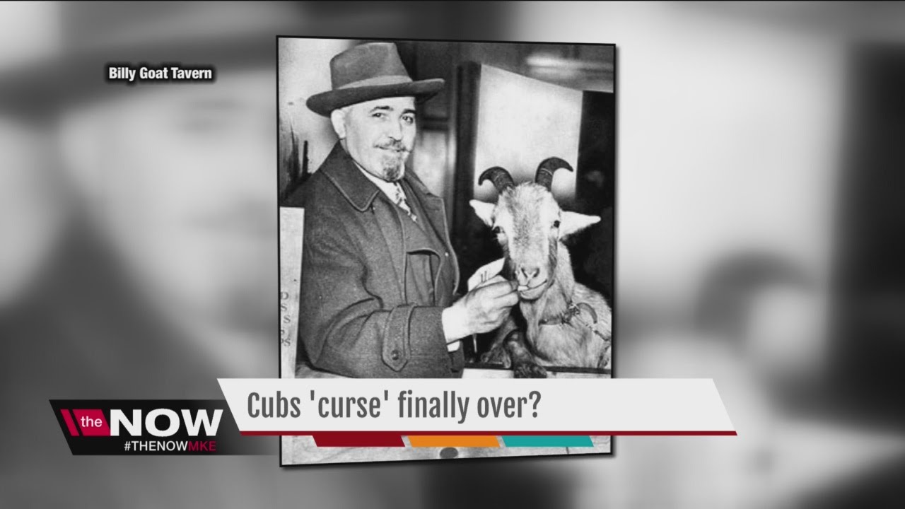 Chicago Cubs' goat curse realtive speaks out
