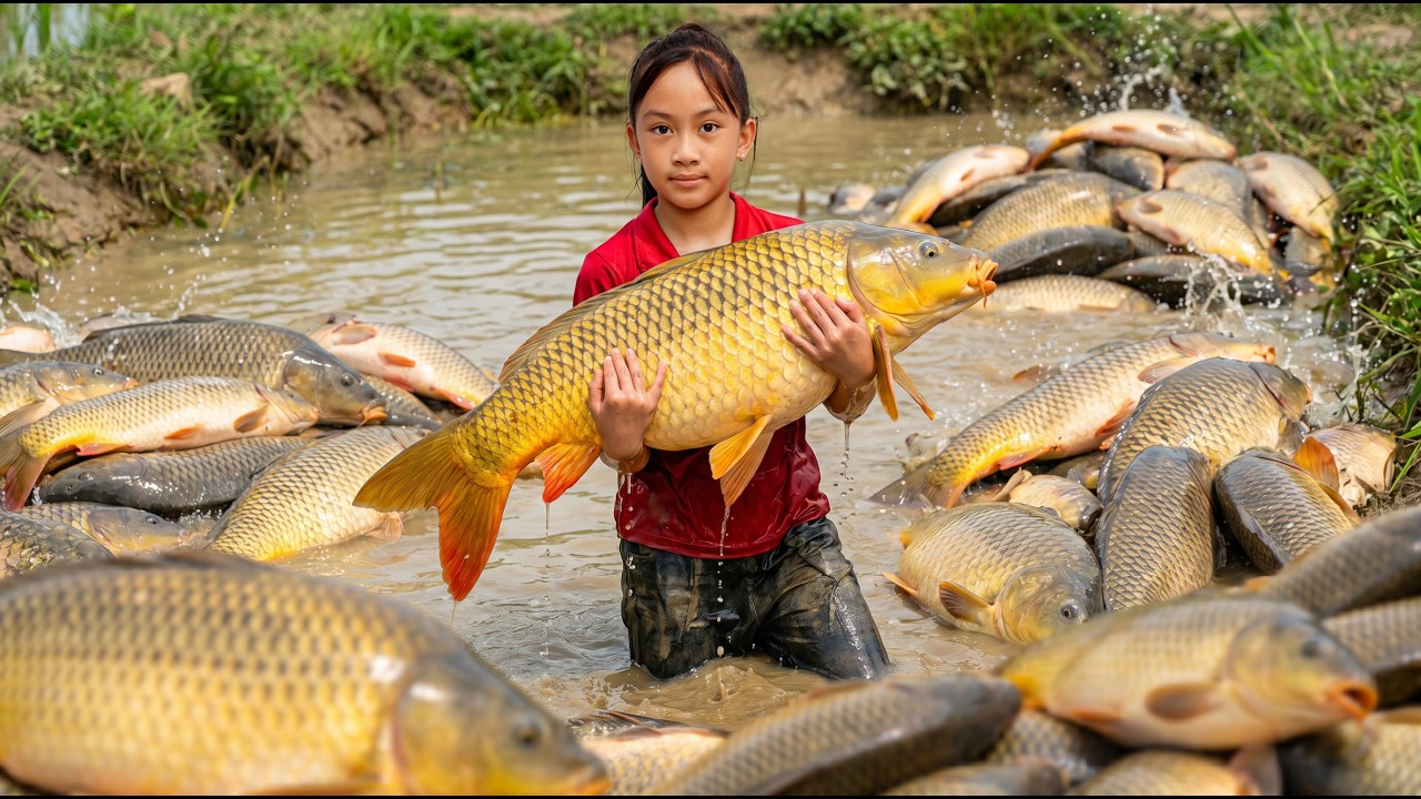 Harvesting 1000+ Wild Fish: Poor Girl's Catching Skills &ndash;From River to Market!