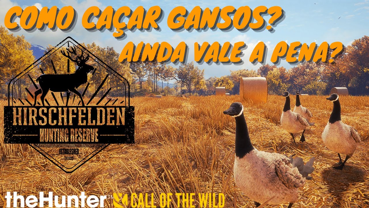 COMO CA&Ccedil;AR GANSOS? AINDA VALE A PENA?  - THE HUNTER CALL OF THE WILD - DICAS PARA INICIANTES