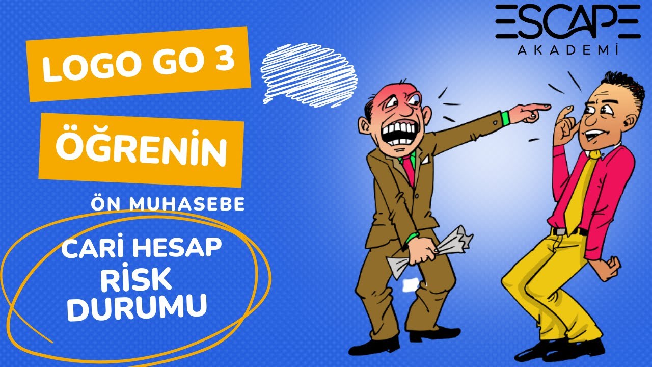 LOGO GO 3 CARİ HESAP RİSK DURUMU