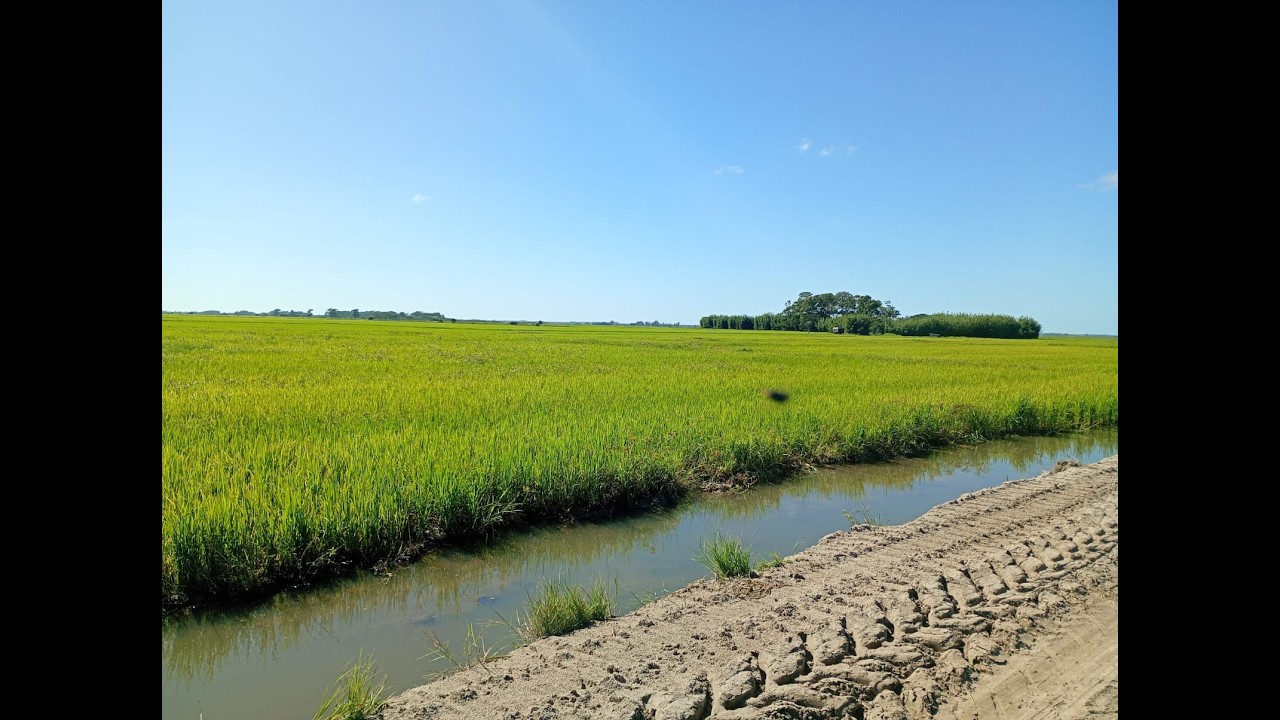 Pescaria top em Mostardas