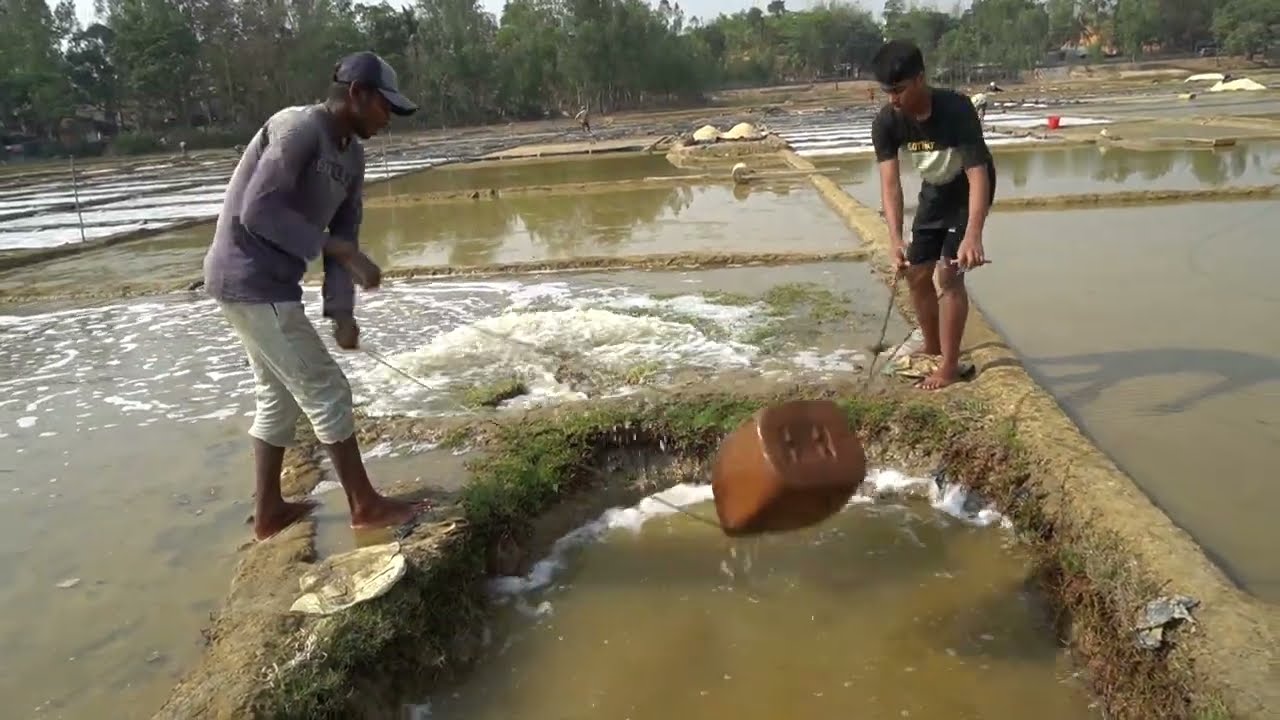 How to produce salt from sea water in traditional way