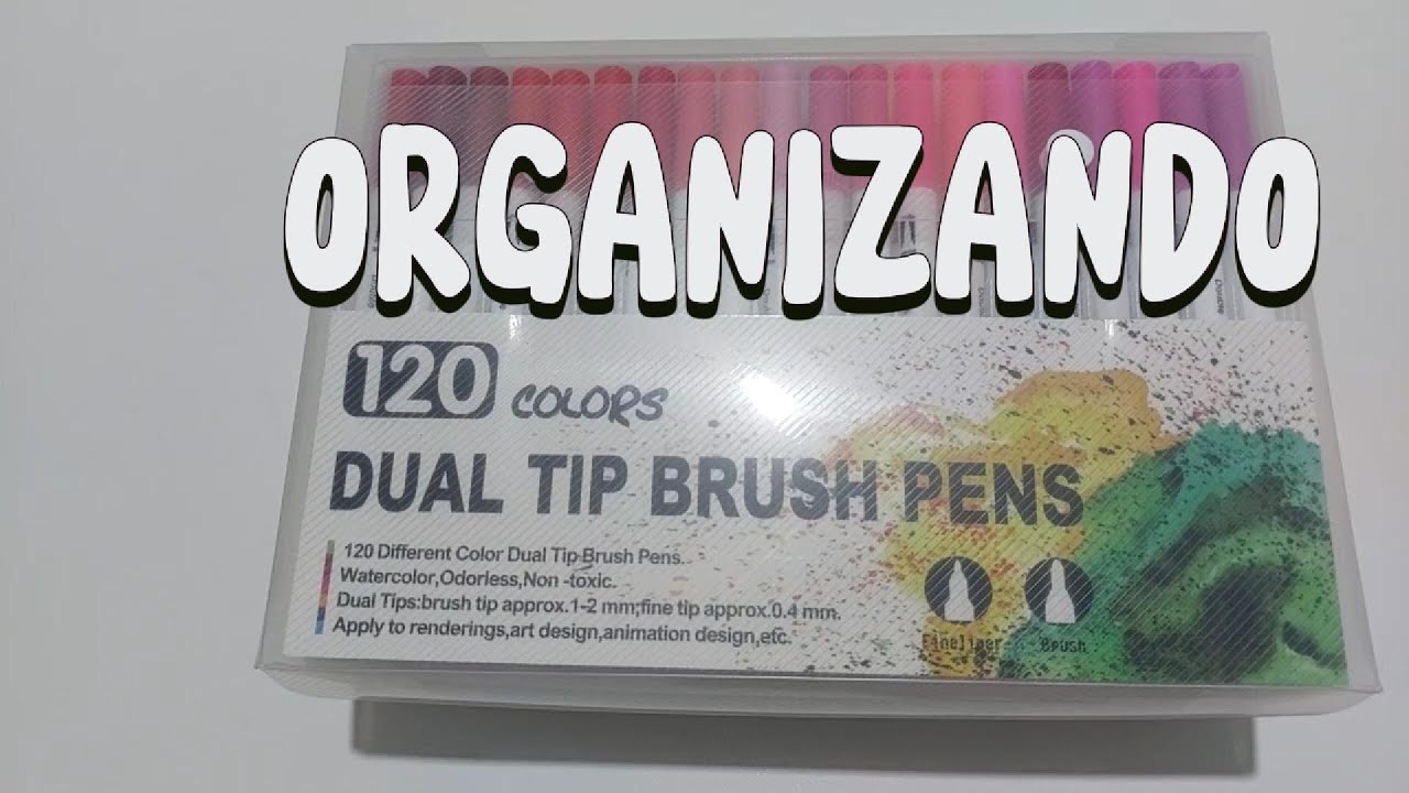 ORGANIZANDO AS BRUSH PENS DA SHOPEE