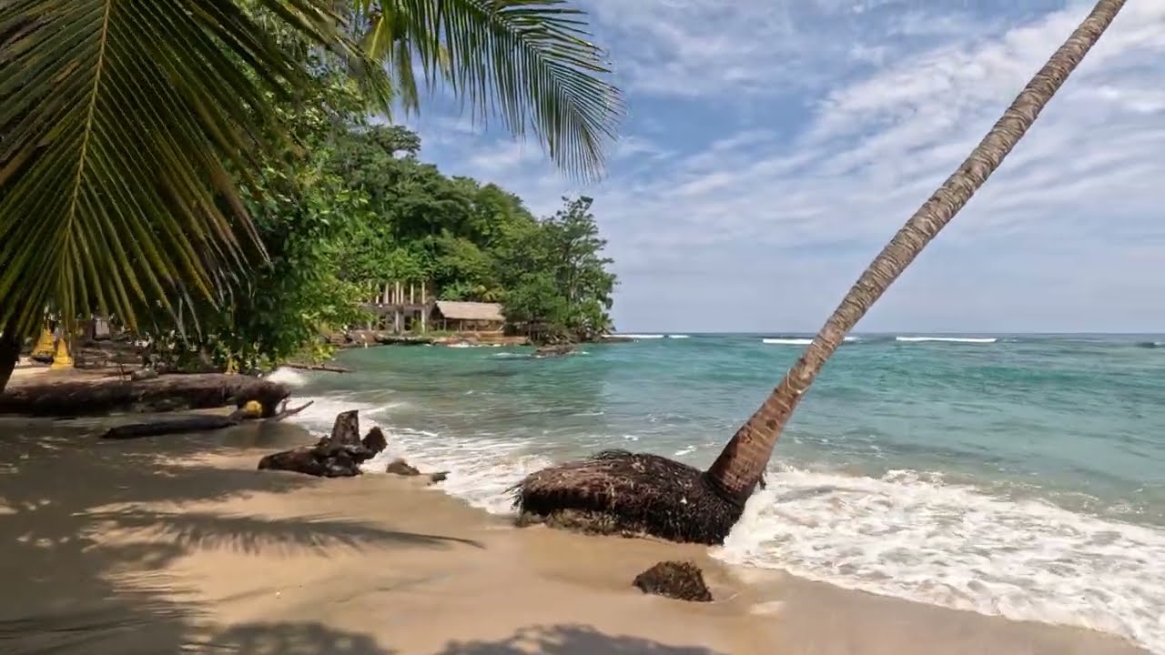 Plus Ultra Chocó's Sapzurro Playa Media Beach