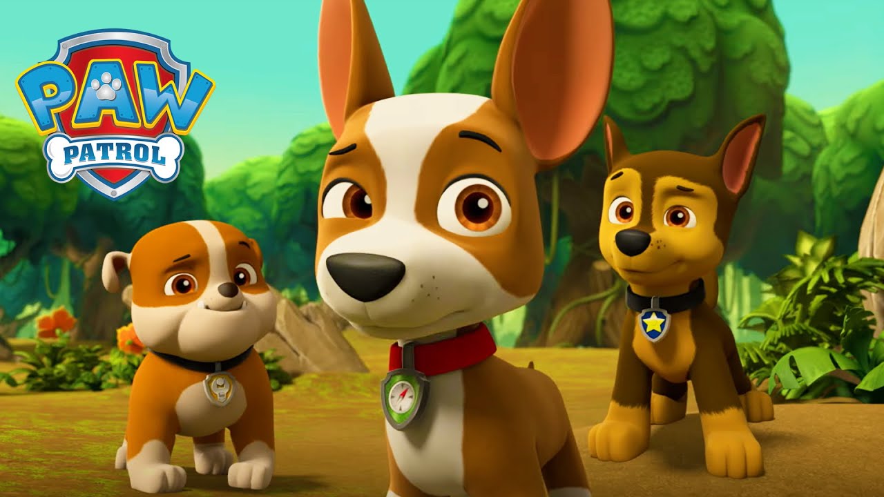 Salvarea pinguinului de către Tracker! 🐧 - PAW Patrol - Desene animate pentru copii