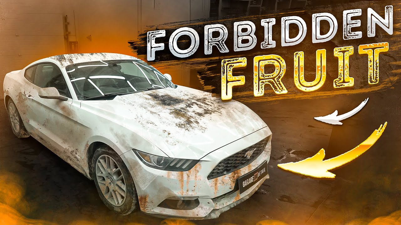 Detailing/deep cleaning Ford Mustang from Siberia