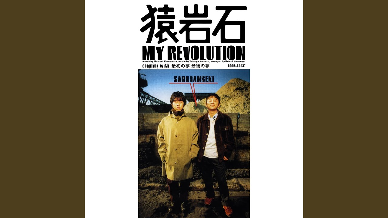 My Revolution