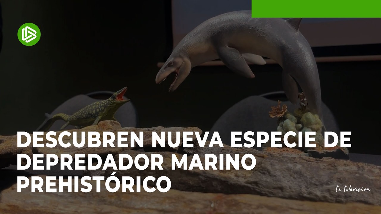 Descubren nueva especie de depredador marino prehistórico