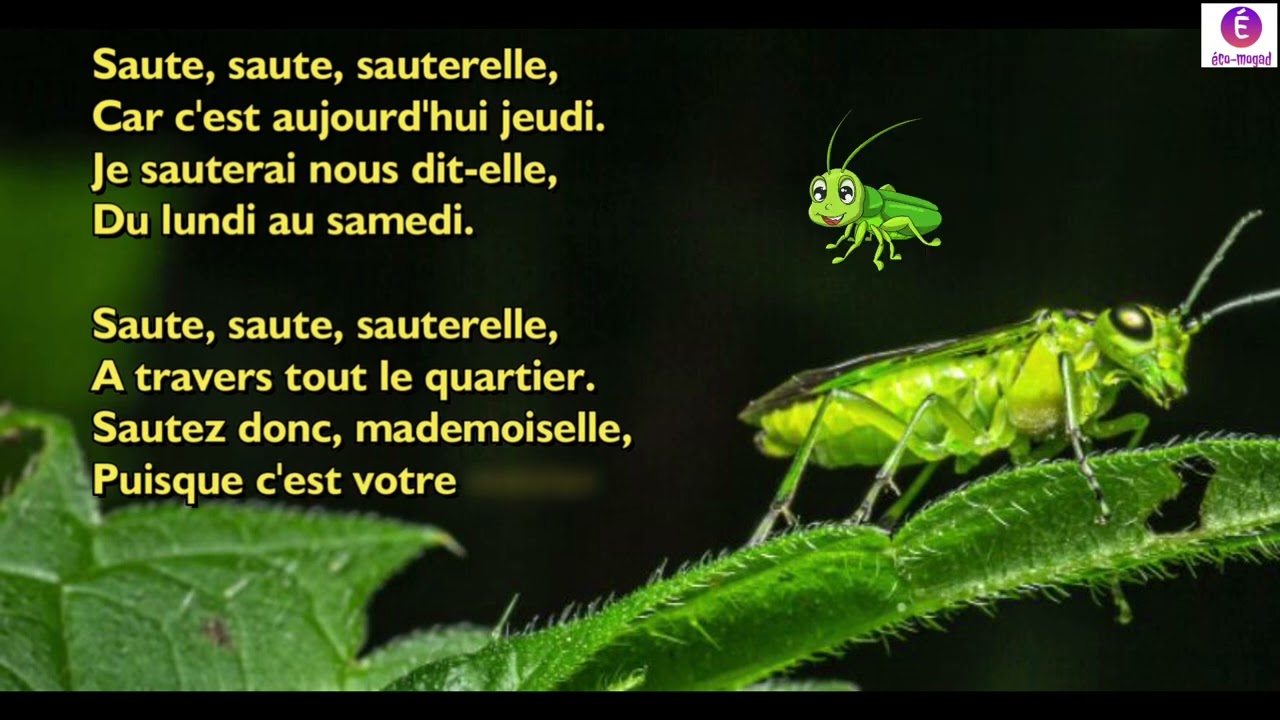 la sauterelle 2Ap - poésie - mes apprentissages
