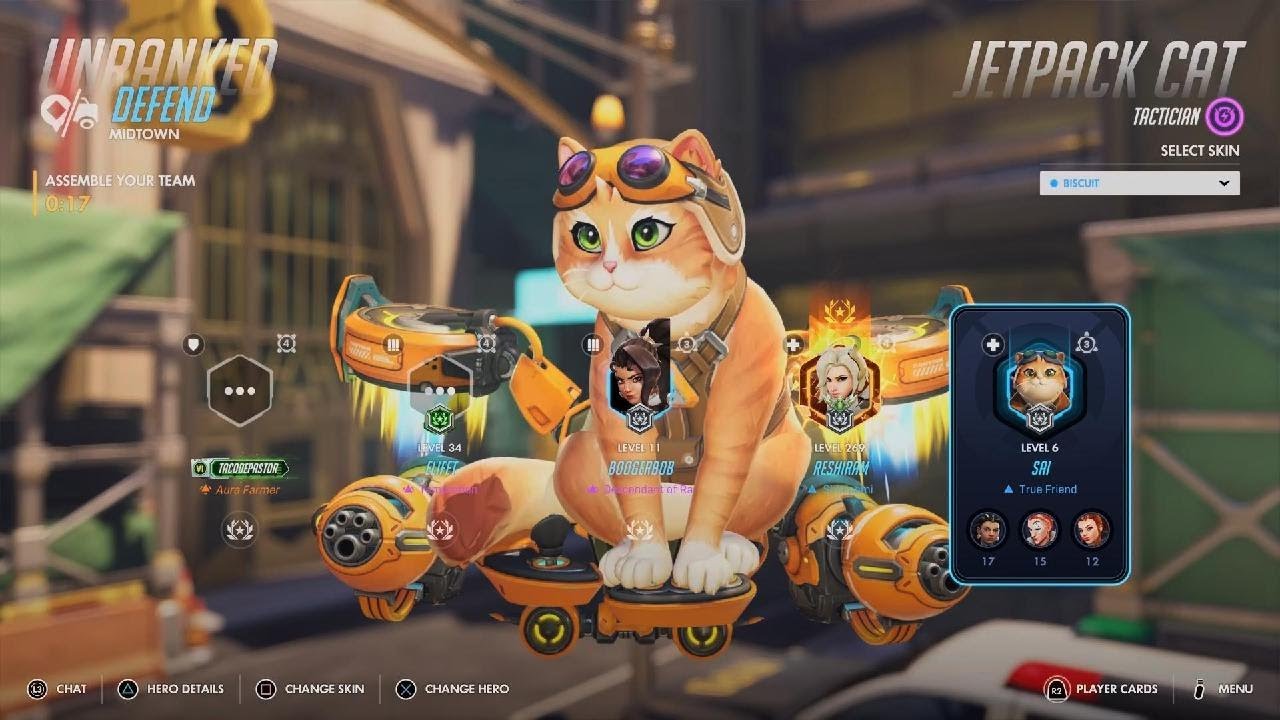 Crazy cat defense