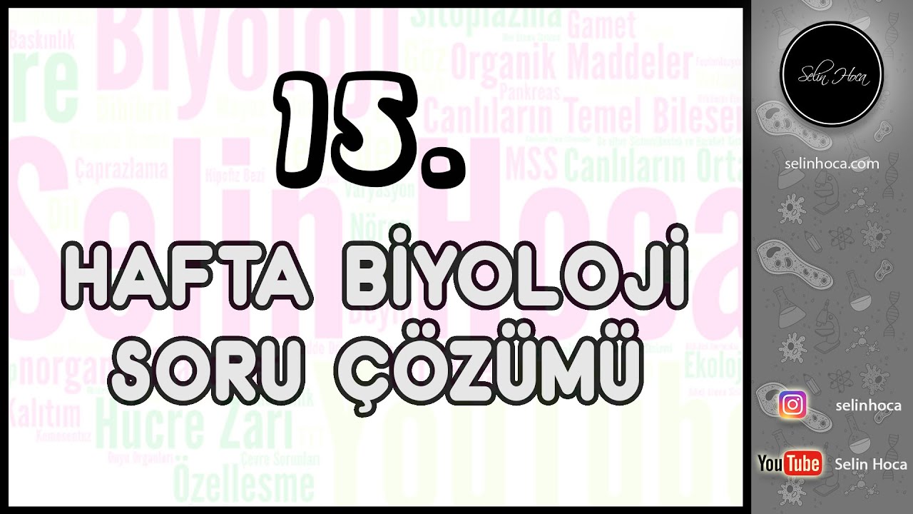 15. Hafta Biyoloji Soru Çözümü