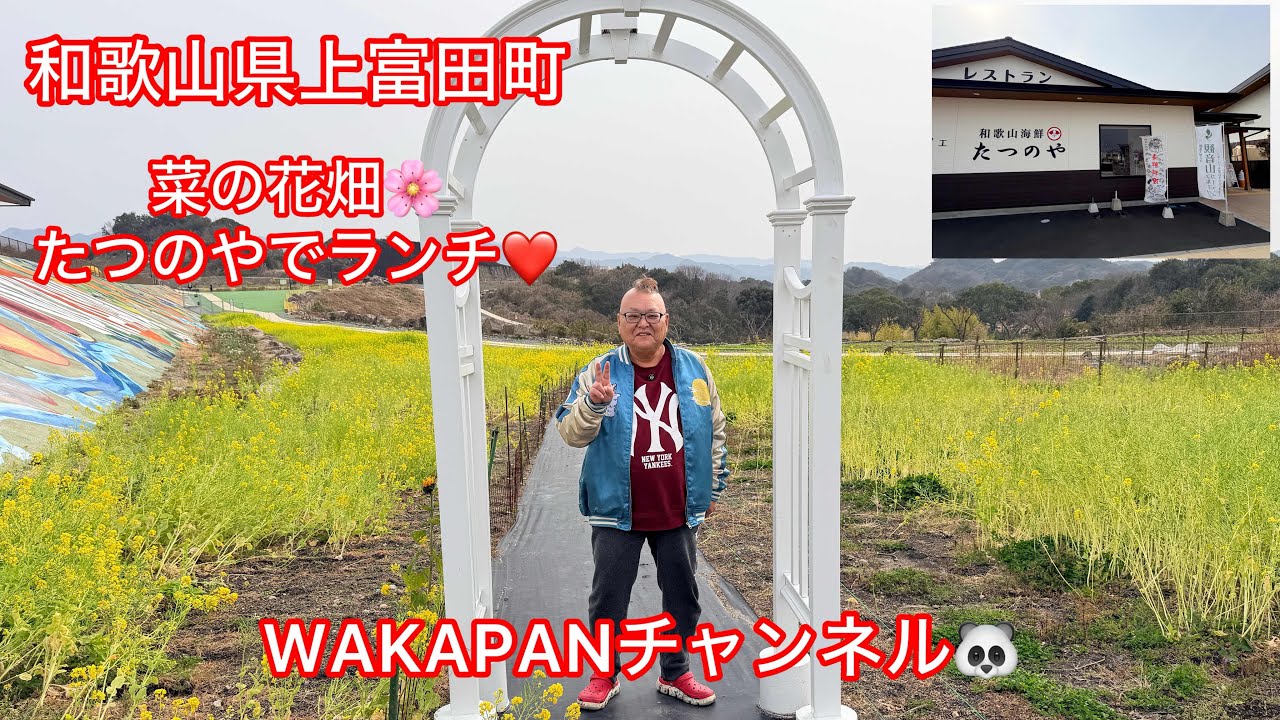 和歌山県上富田町　菜の花畑🐝+たつのやでランチ❤️WAKAPANチャンネル🐼