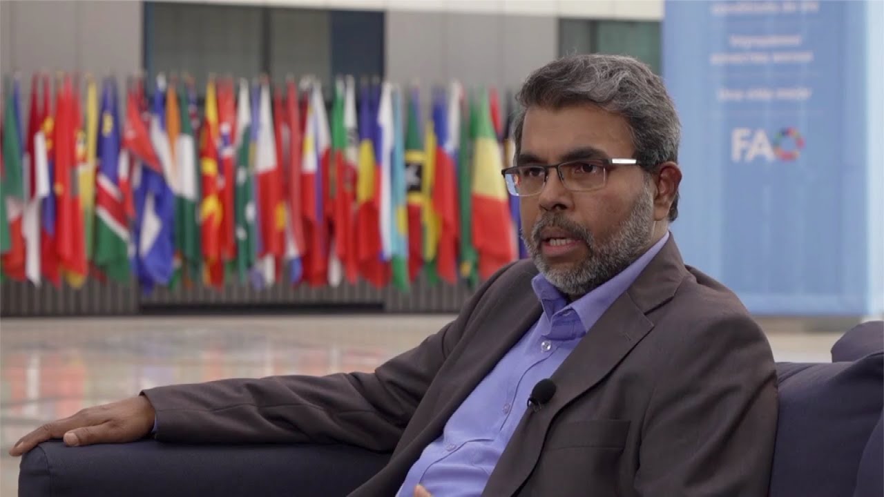 UN FAO expert: Energy crisis and fertilizer shortage impact European food system