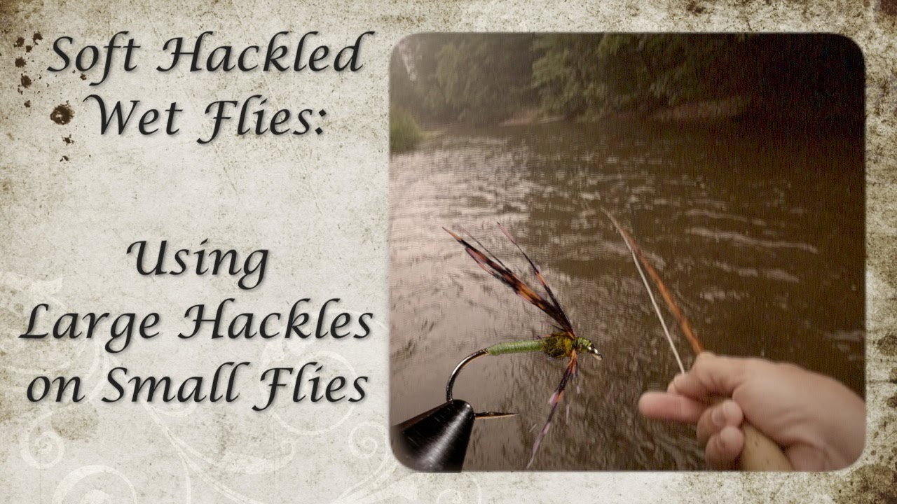 Soft Hackle Wet Flies: Tying Flies Using Large Hackle Feathers