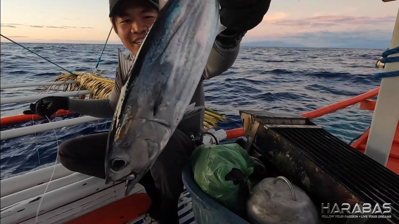 EP813-P1 - Day 1 of Tuna Series