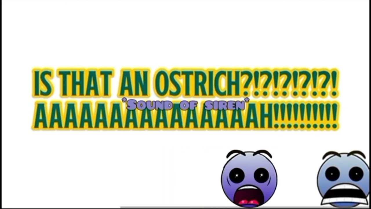 &ldquo;Ostrich chase add round 3&rdquo; | MY CAPCUT TTS VIDS S5E13