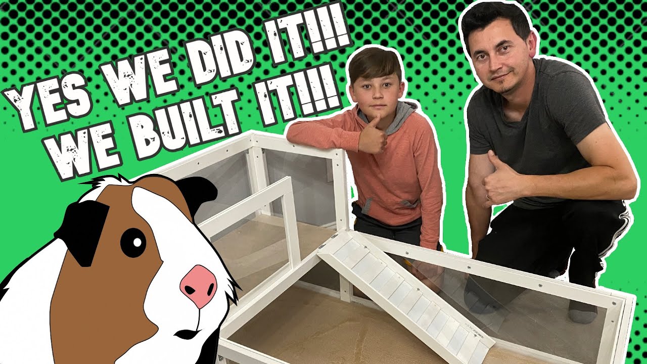 BUILDING GUINEA PIG CAGE / DIY Cage