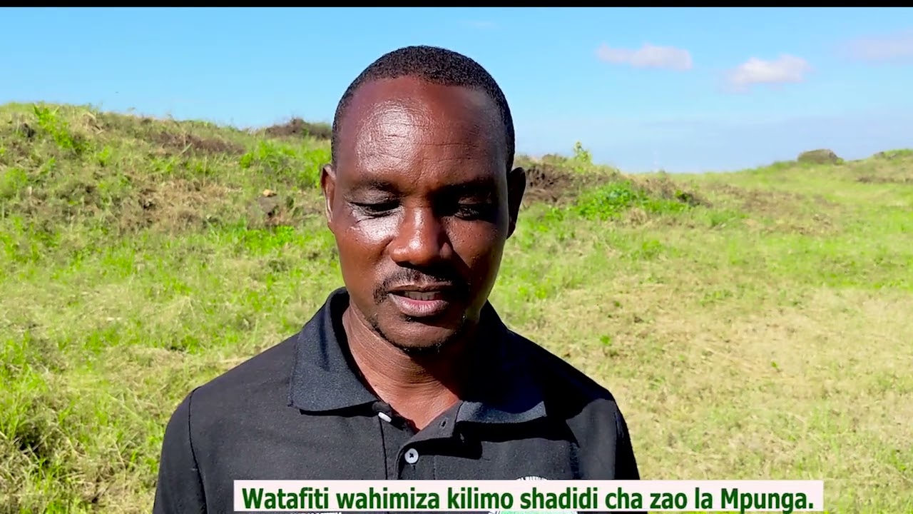 Wakulima wavutiwa na Kilimo Shadidi