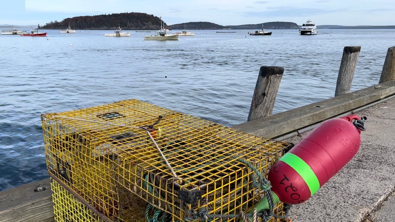 The Hidden Gems of Bar Harbor, Maine