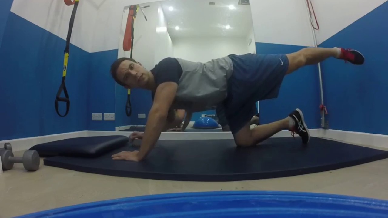 Bird dog core stability exercise from Brighton Chiropractor