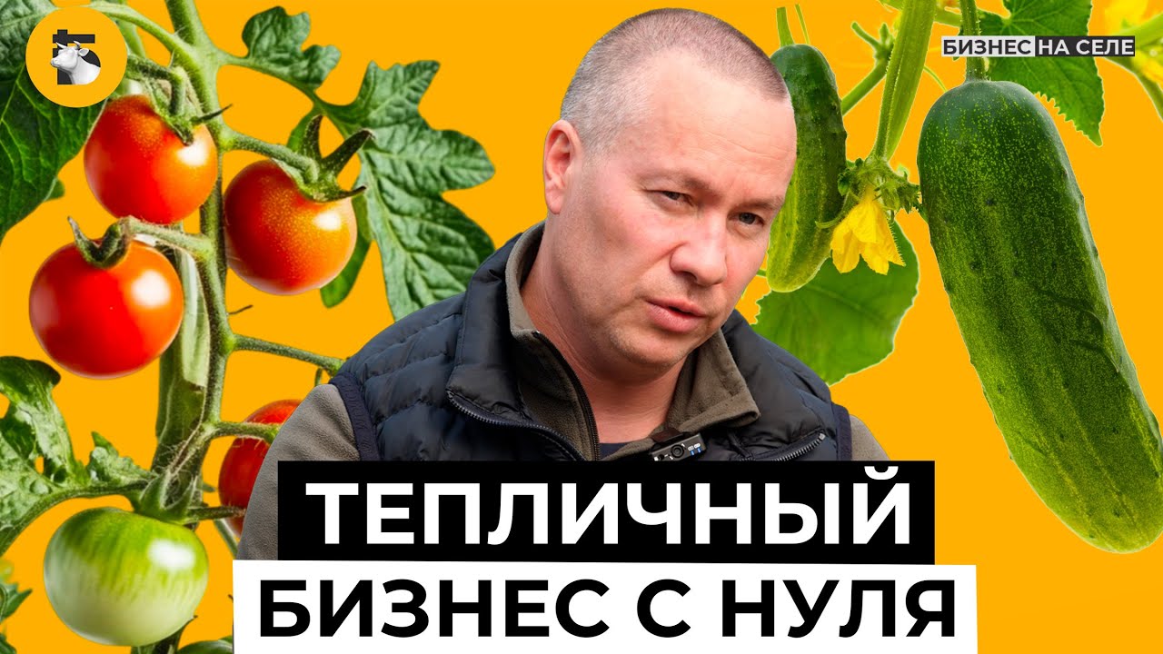 Миллионы на огурцах и помидорах. Как зарабатывать на зелени и овощах? Тепличный бизнес