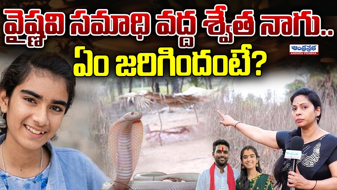 వైష్ణవి సమాధి వద్ద శ్వేత నాగు..|The Real Story Behind The Snake | Vaishnavi Korutla | Andhra Prabha