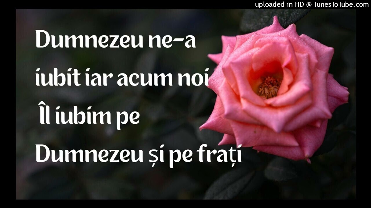 Dumnezeu ne-a iubit iar acum noi Îl iubim pe Dumnezeu și pe frați