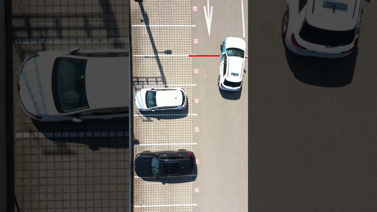 R&uuml;ckw&auml;rts Parken