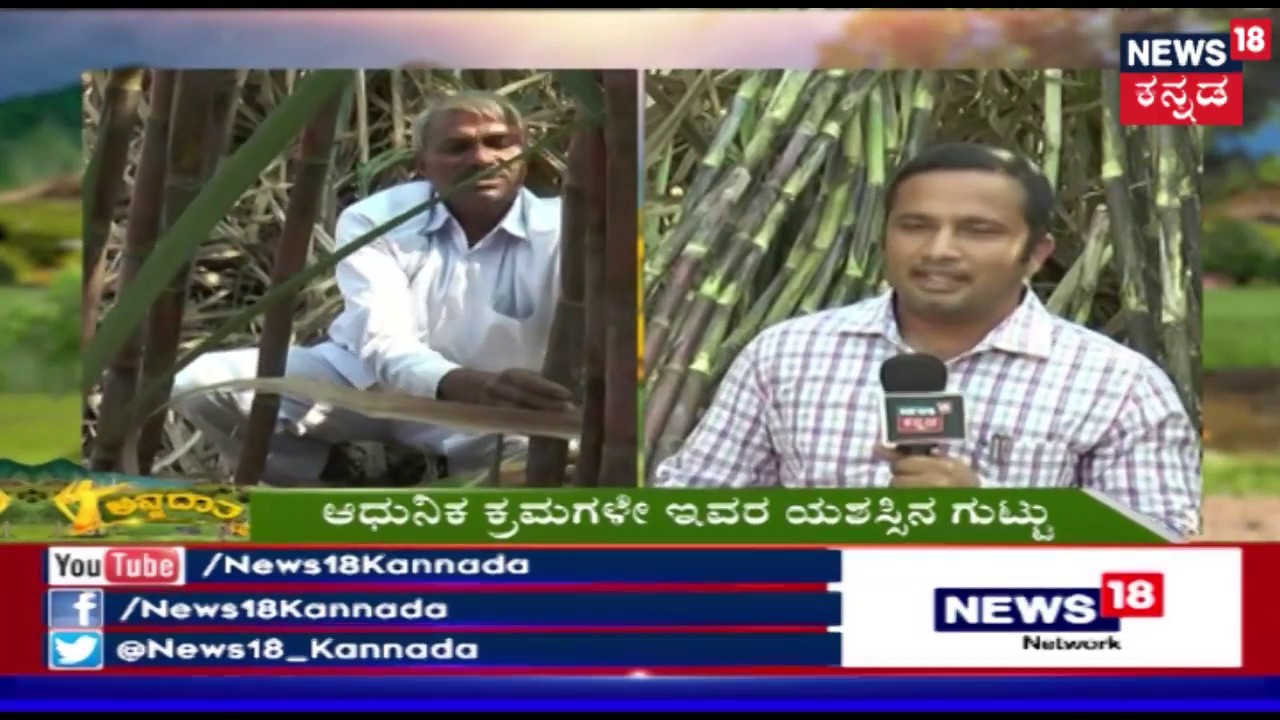 ಅನ್ನದಾತ | Chikodi Sugarcane Farmer Success Story | Feb 13, 2019