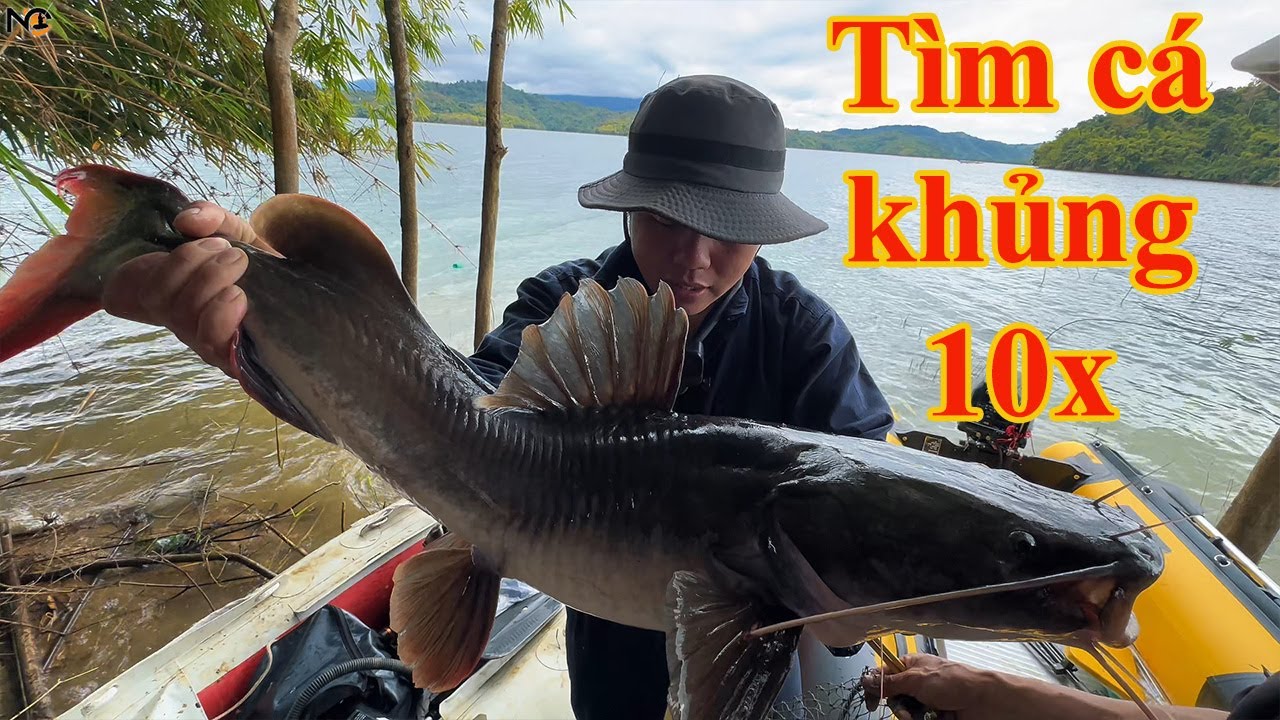 5 Ngày trên lòng hồ cột câu tìm cá khủng 10x bất ngờ gặp cá lớn kéo muốn gãy cây tre