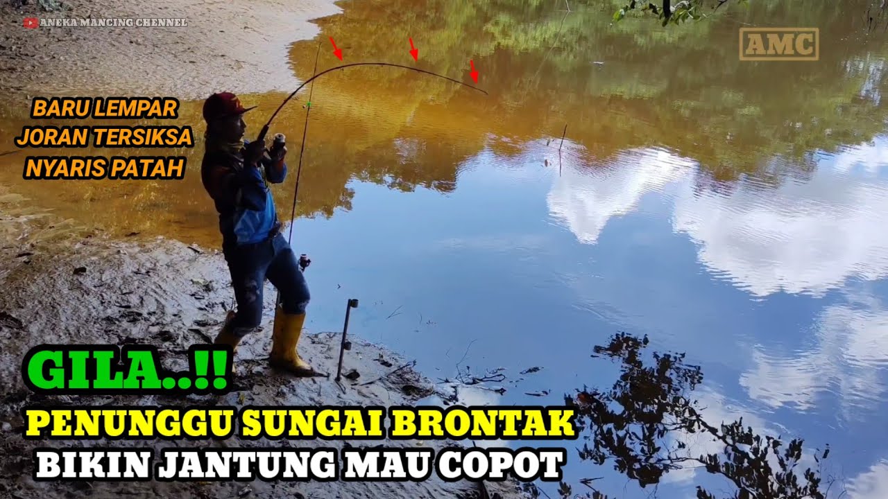 GANAS POLL..!!Mancing Ikan Besar Disaat Air Sungai Surut Langsung Disambar