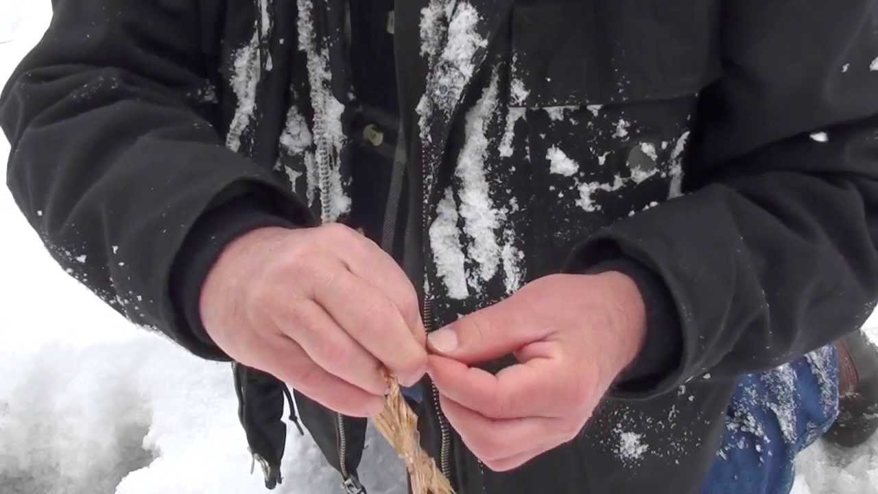 Easy Natural Cordage Using Fireweed