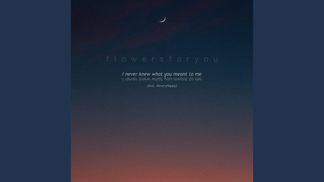 i never knew what you meant to me
