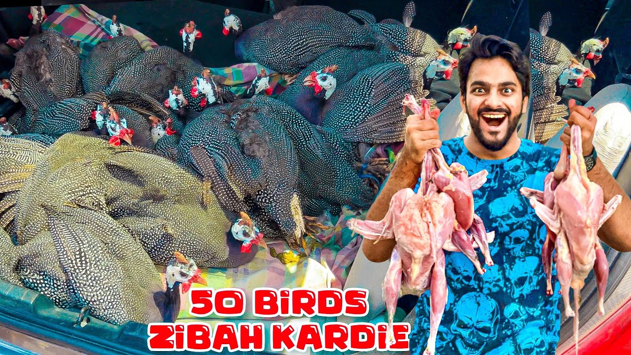ALHAMDULILLAH 25 MURGHABI 25 CHINESE MURGI OR 2 TURKEY ZIBAH KAR K GRAND DAWAT KARDI