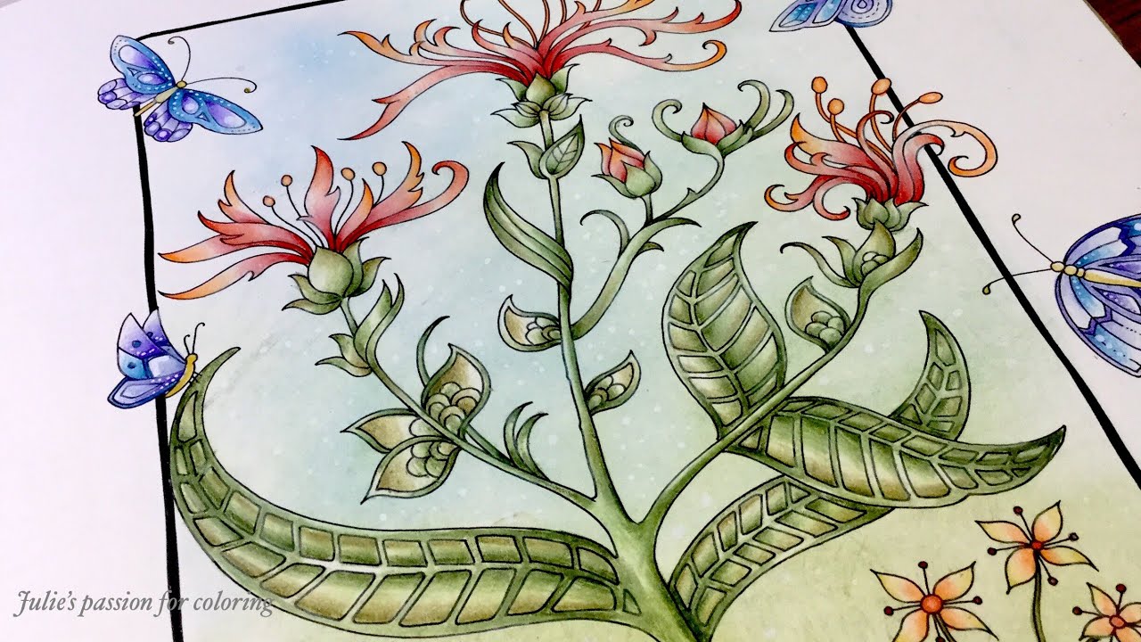 WORLD OF FLOWERS by Johanna Basford - prismacolor pencils - color along