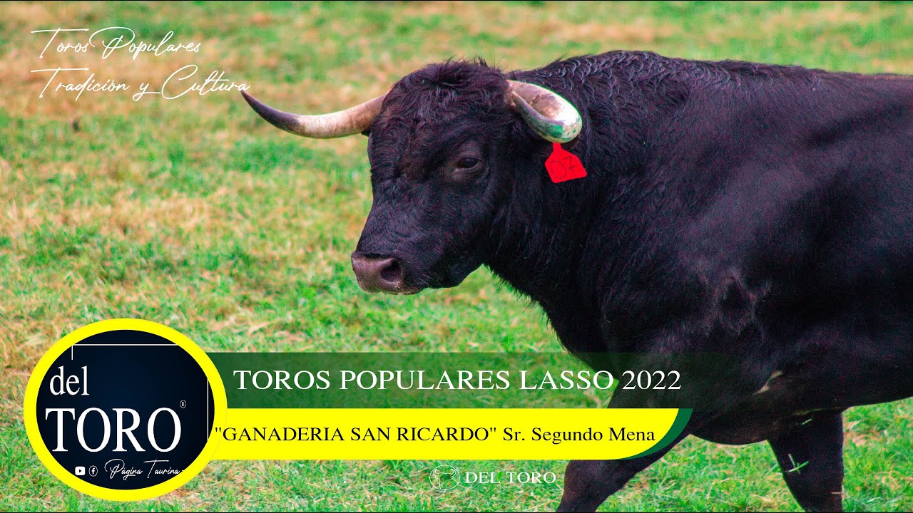TOROS POPULARES LASSO 2021 | Del Toro Official
